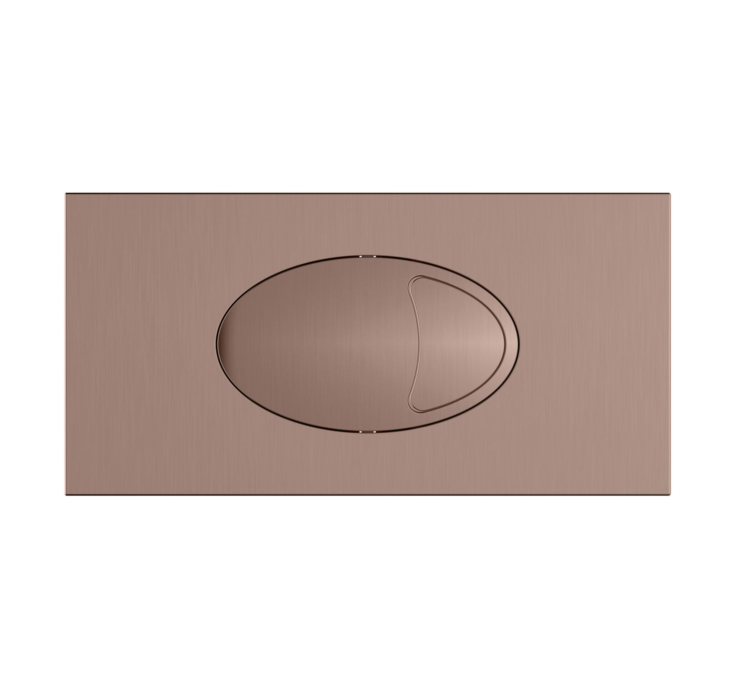 LARGE DUAL FLUSH PLATE & ACCESS PANEL