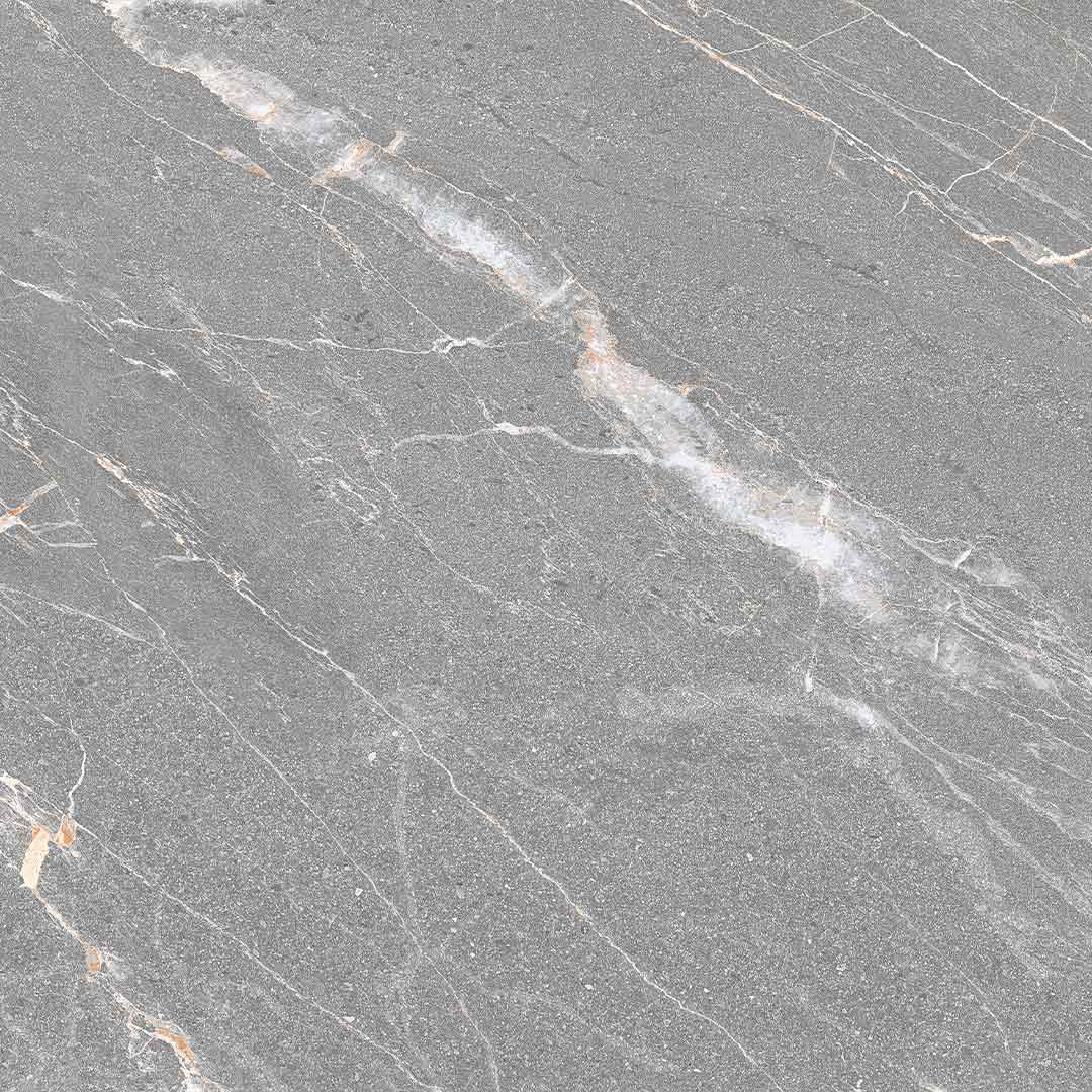 Cardo Gris (600x1200)