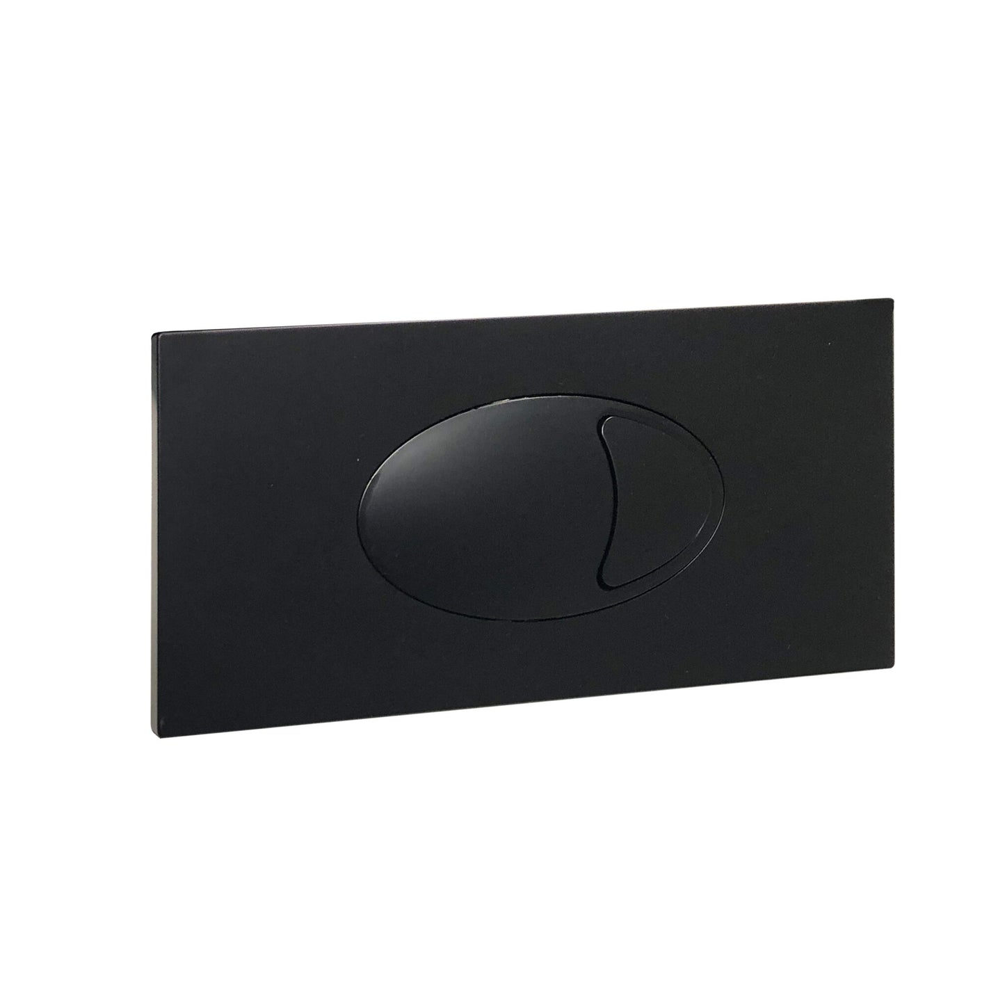 Large Black Dual Flush Plate & Access Panel