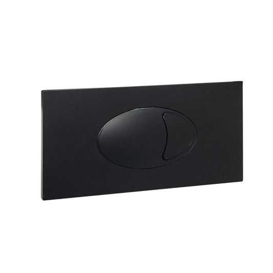 Large Black Dual Flush Plate & Access Panel
