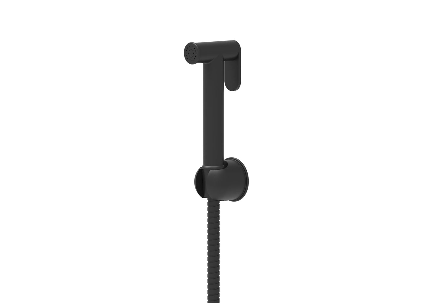 Douche Handset , Flexi and Holder
