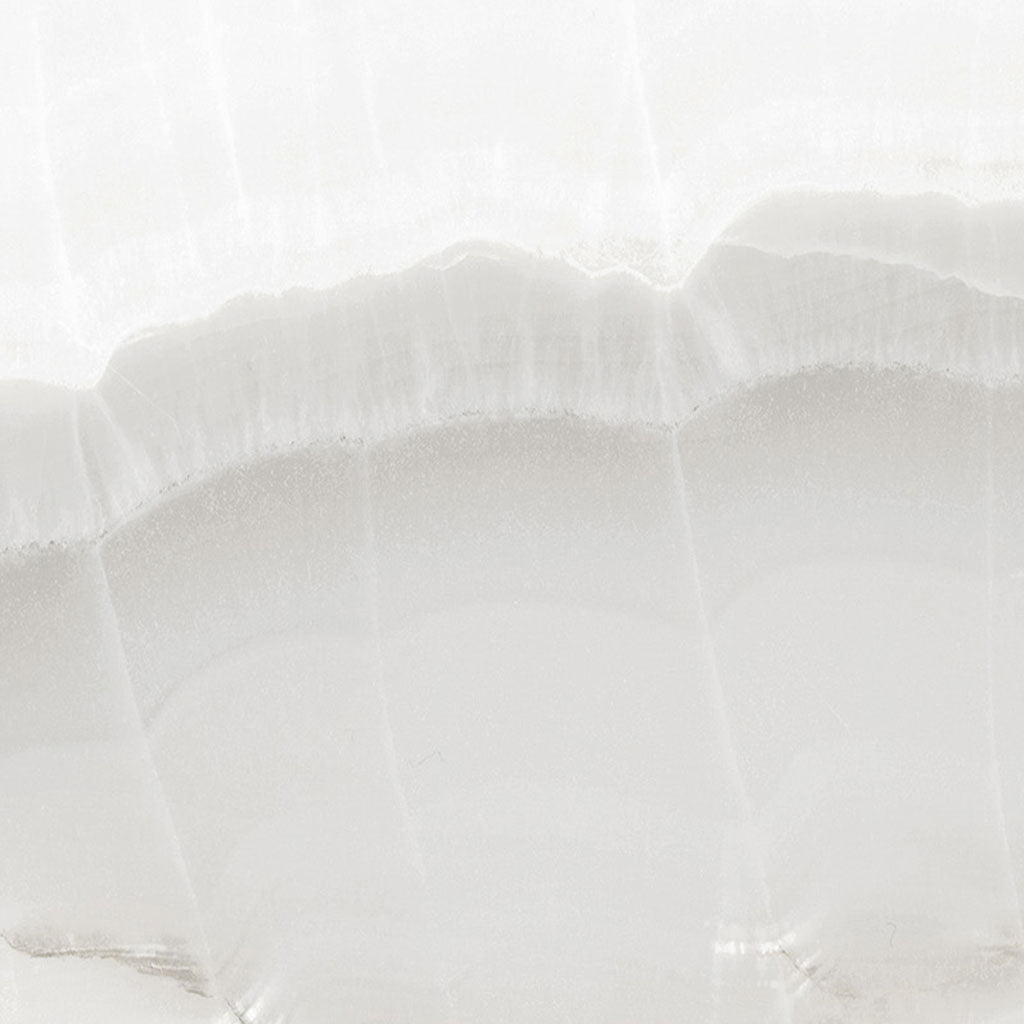 Lonic (600x600)