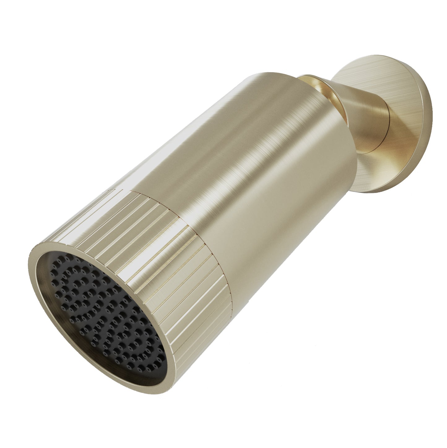 Core Spotlight shower arm and head
