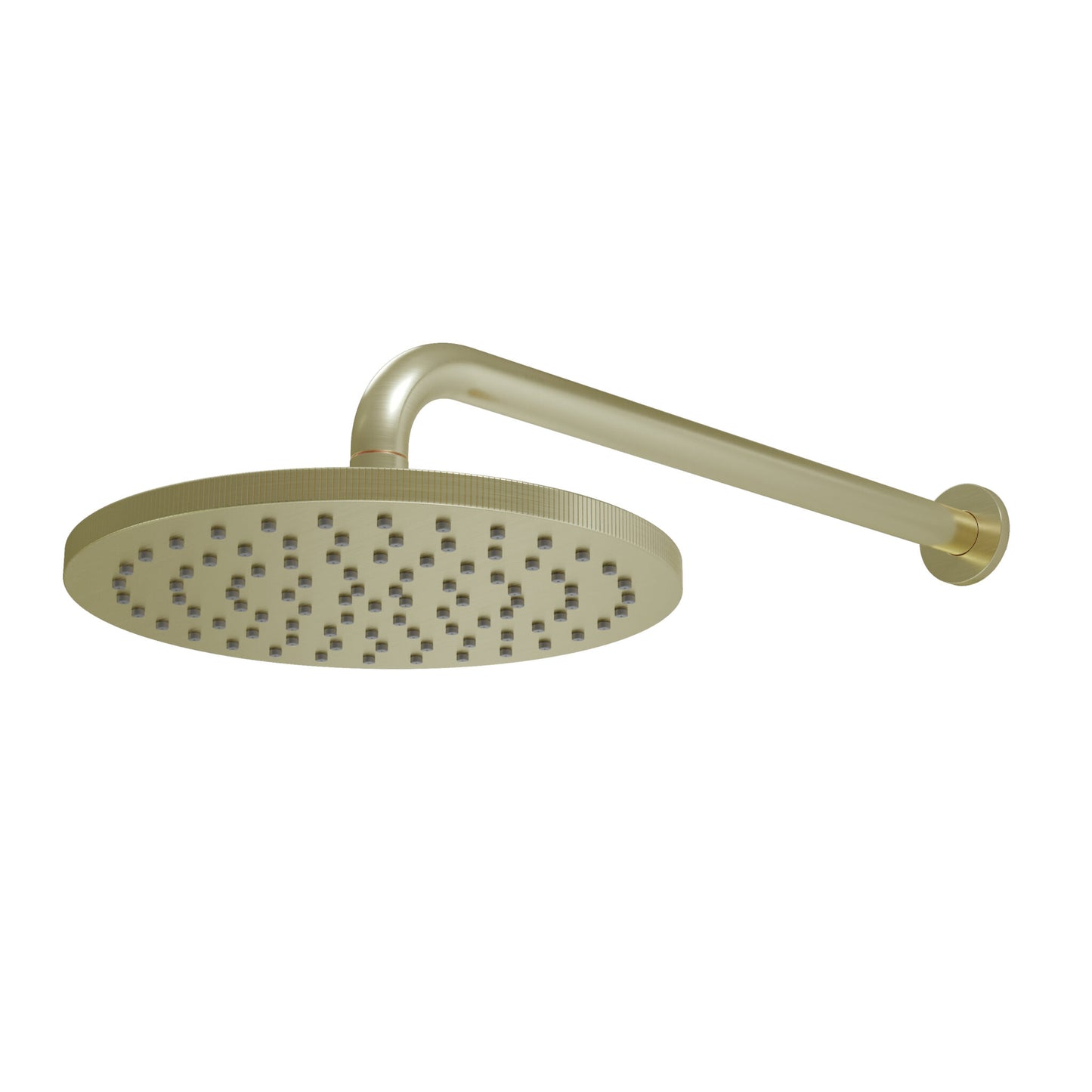 Core Round shower arm and head