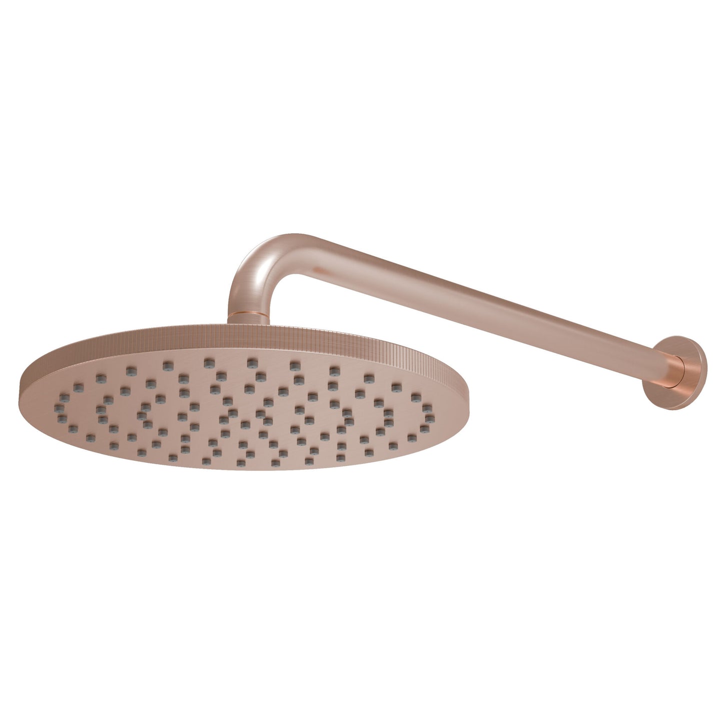 Core Round shower arm and head