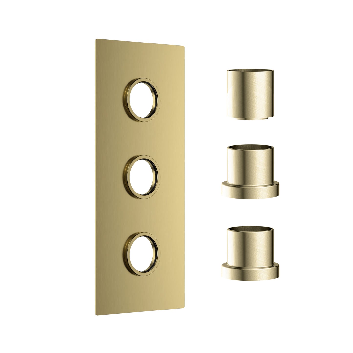 Concealed Plate with Sleeves