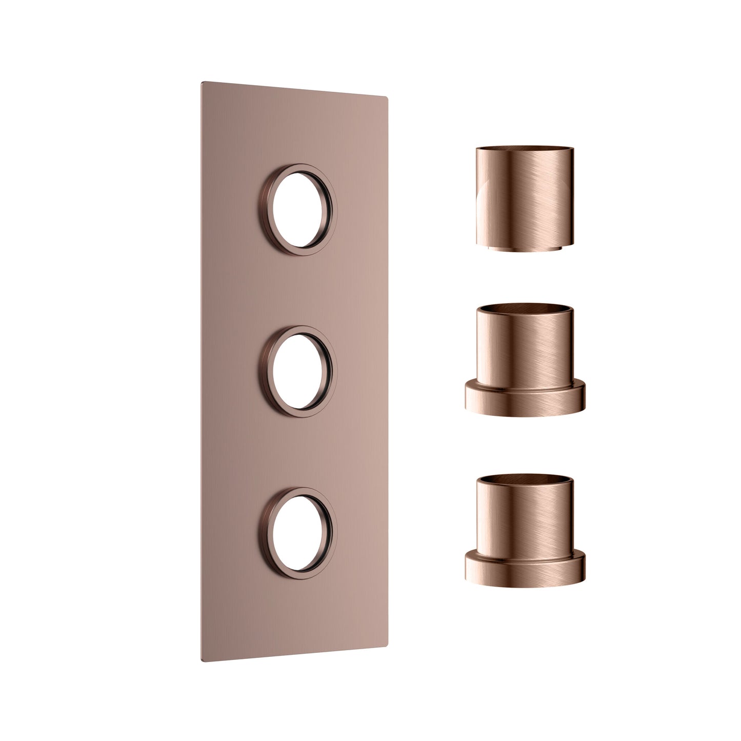 Concealed Plate with Sleeves