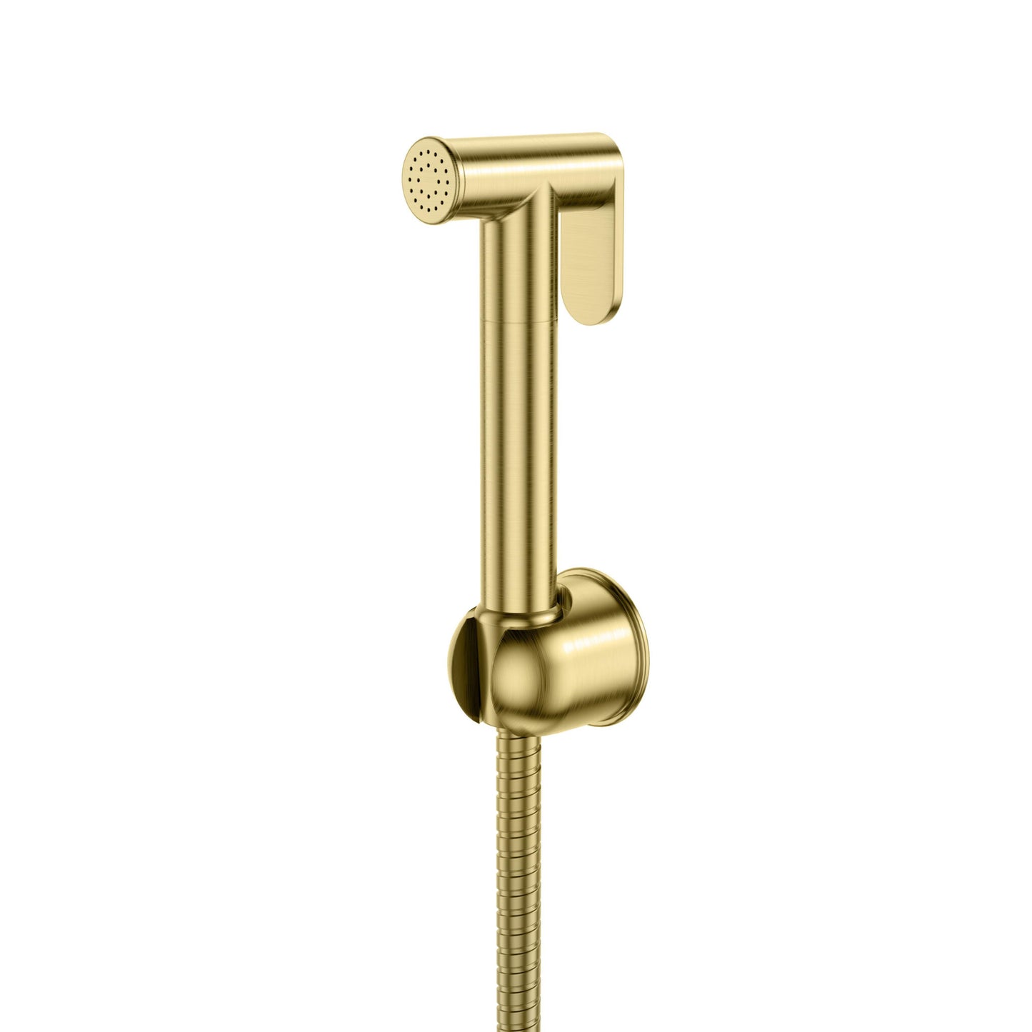 Douche Handset , Flexi and Holder