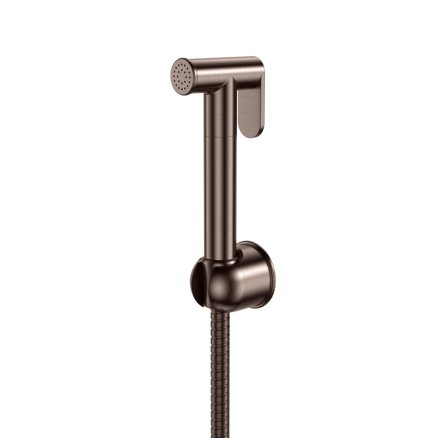 Douche Handset , Flexi and Holder